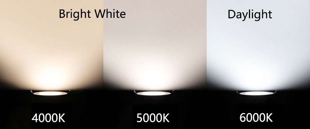 Color Difference Between Warm White, Daylight, And Cool White