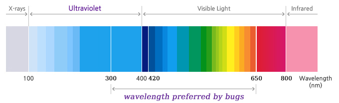 Light color that clearance repels bugs