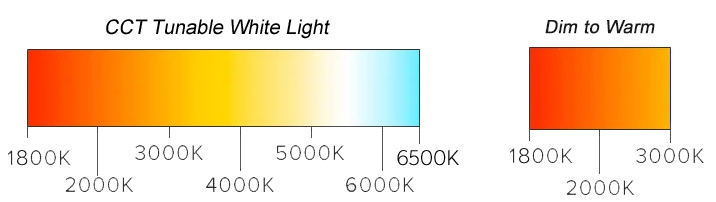 Tunable White vs Dim to Warm