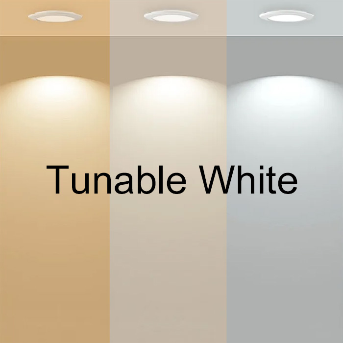 What Is Tunable LED White Lighting?
