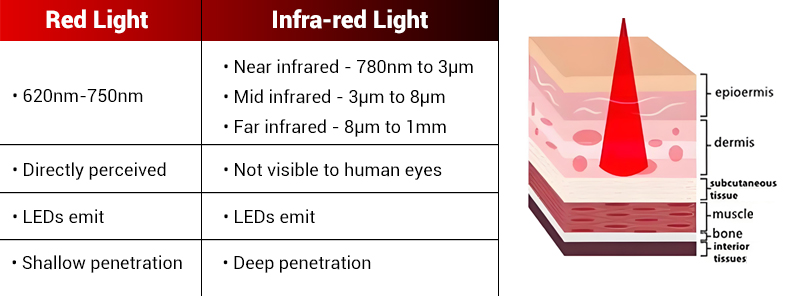 red vs infrared light