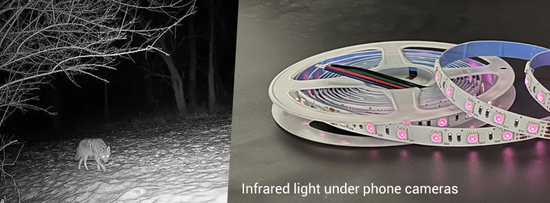 Infrared light night vision and its detection