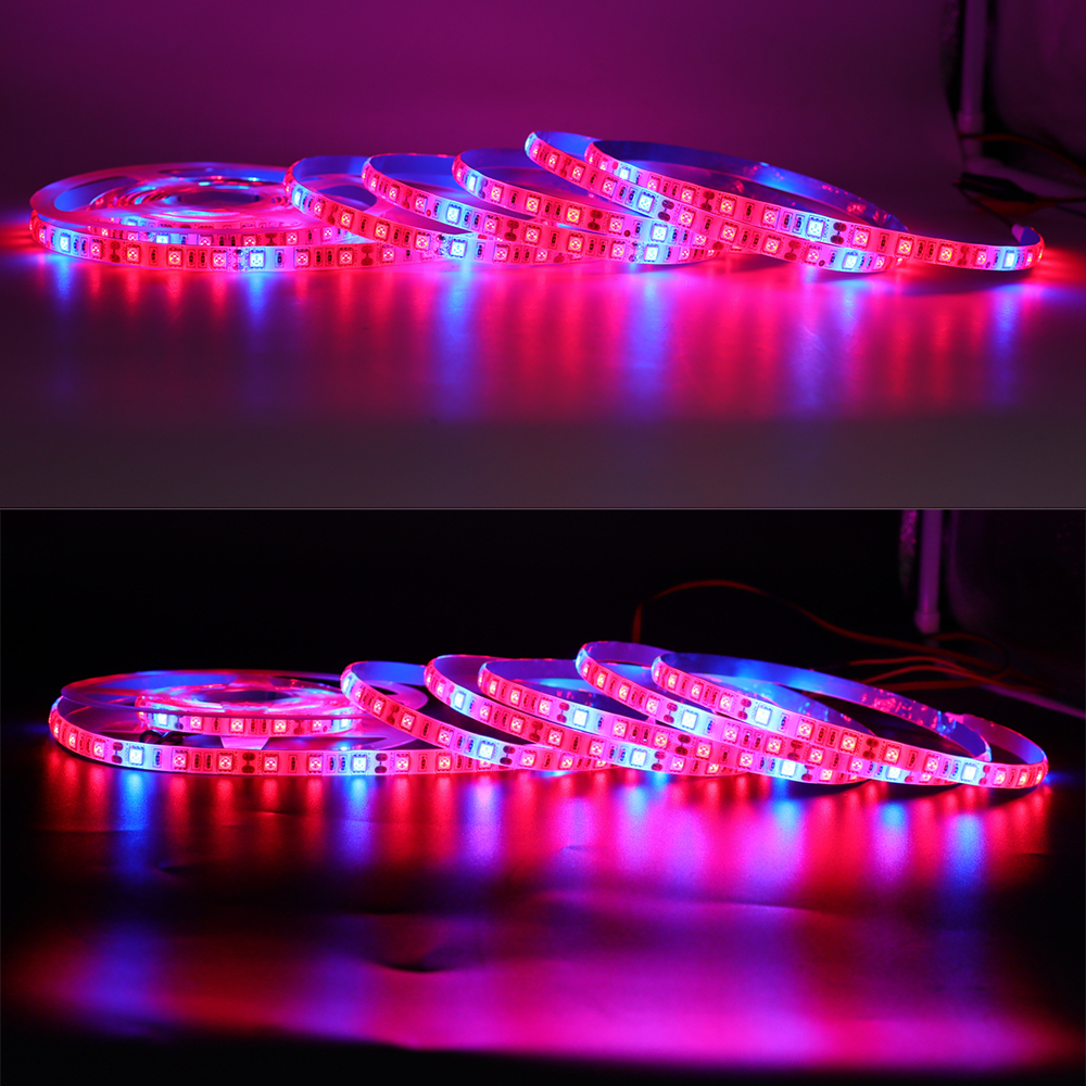 Quad Row Brightest LED Strip Lights - DC24V 3528SMD 146LEDs/Ft - Flexible  LED Tape Lights, Industrial Lighting, 1 Chip SMD LED 3528