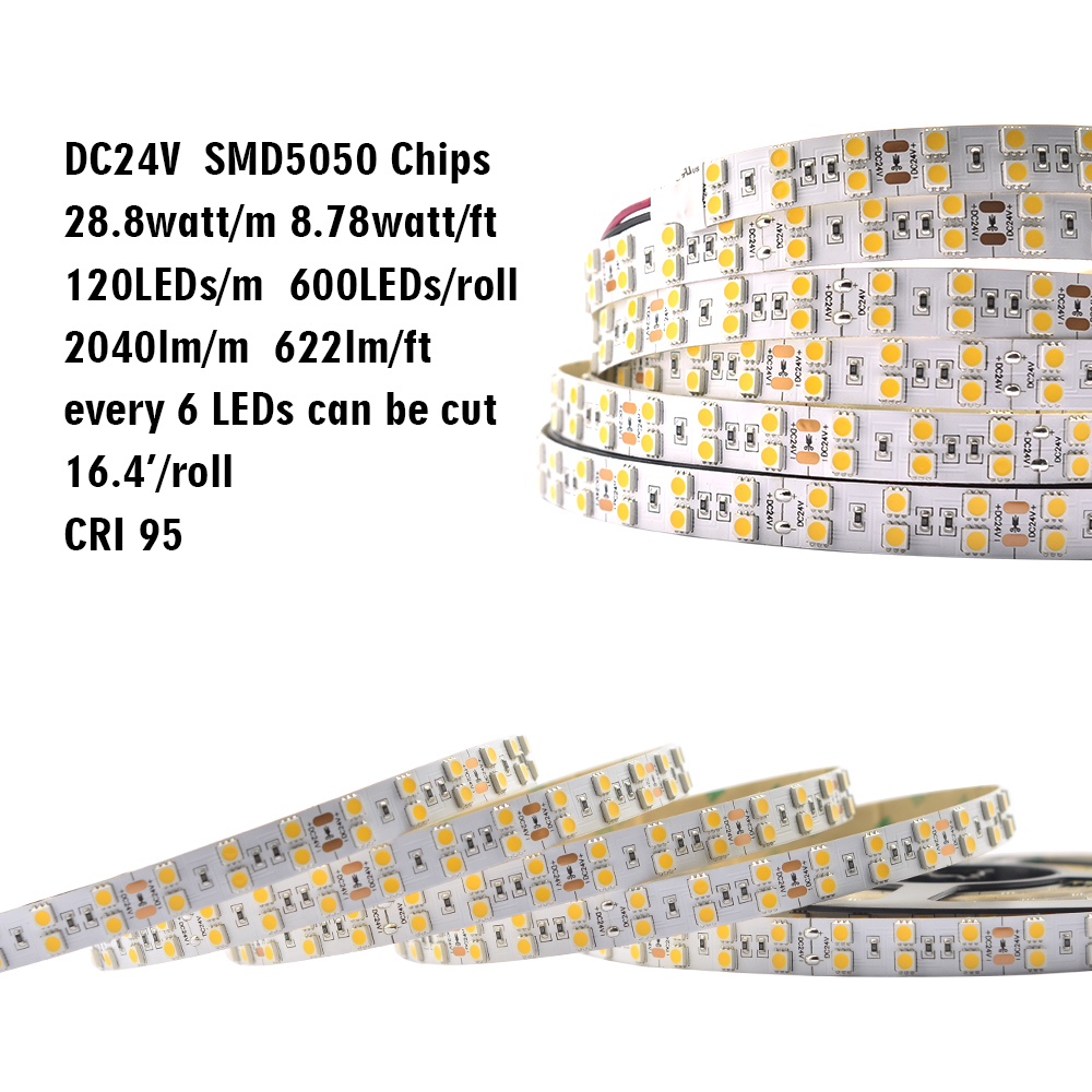 Double Row Super Bright Series DC24V 5050SMD 600LEDs Flexible LED Strip Lights Business Lighting 16.4ft Per Reel By Sale