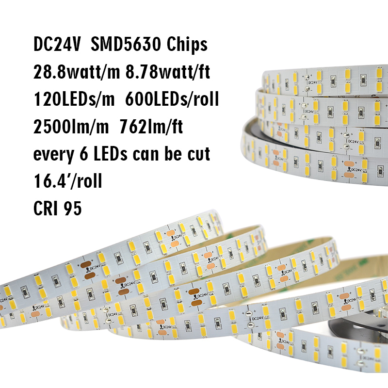 Double Row Series DC24V 5630SMD 600LEDs Flexible LED Strip Lights Home Lighting Waterproof 16.4ft Per Reel By Sale Double Row Series DC24V 5630SMD 600LEDs Flexible LED Strip Lights Home Lighting Waterproof 16.4ft Per Reel By Sale