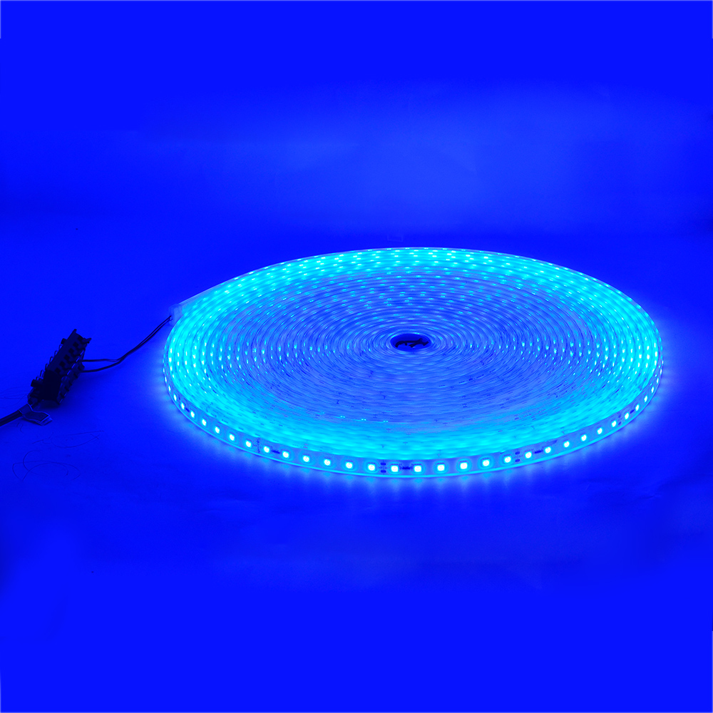 DC24V 65.6ft/20m Waterproof IP68 5050 Blue LED Strip