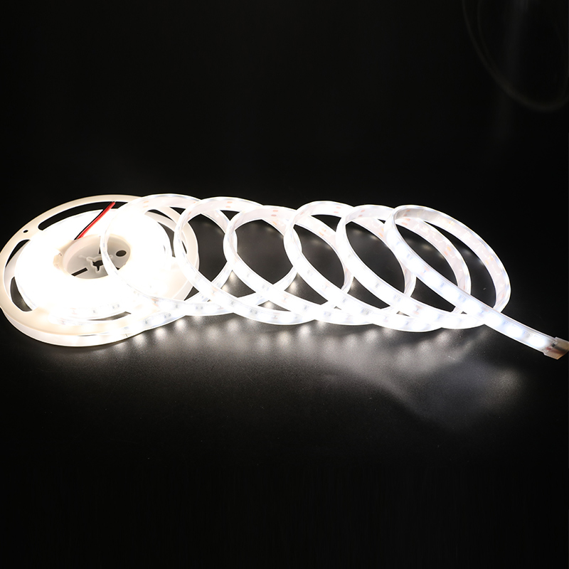 Einreihige Serie, DC12/24 V, 5050 SMD, 300 LEDs, flexible LED-Streifen, wasserdicht, IP67, für den Außenbereich, 16.4 Fuß pro Rolle, im Angebot Einreihige Serie, DC12/24 V, 5050 SMD, 300 LEDs, flexible LED-Streifen, wasserdicht, IP67, für den Außenbereich, 16.4 Fuß pro Rolle, im Angebot