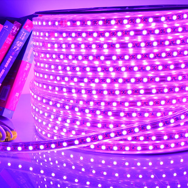 220V LED Strip Light Outdoor Waterproof LED Ribbon 5050 60Leds Flexible LED  Tape with Switch for Home Decoration