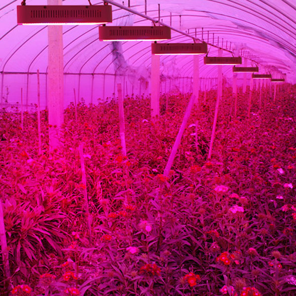 SMD-5741 LED panelová lampa Grow Lamp 45W Full Spectrum Hydroponic Systems Grow Box Led lampy Světla Pro rostliny Myčka Zeleniny Skleník SMD-5741 LED panelová lampa Grow Lamp 45W Full Spectrum Hydroponic Systems Grow Box Led lampy Světla Pro rostliny Myčka Zeleniny Skleník