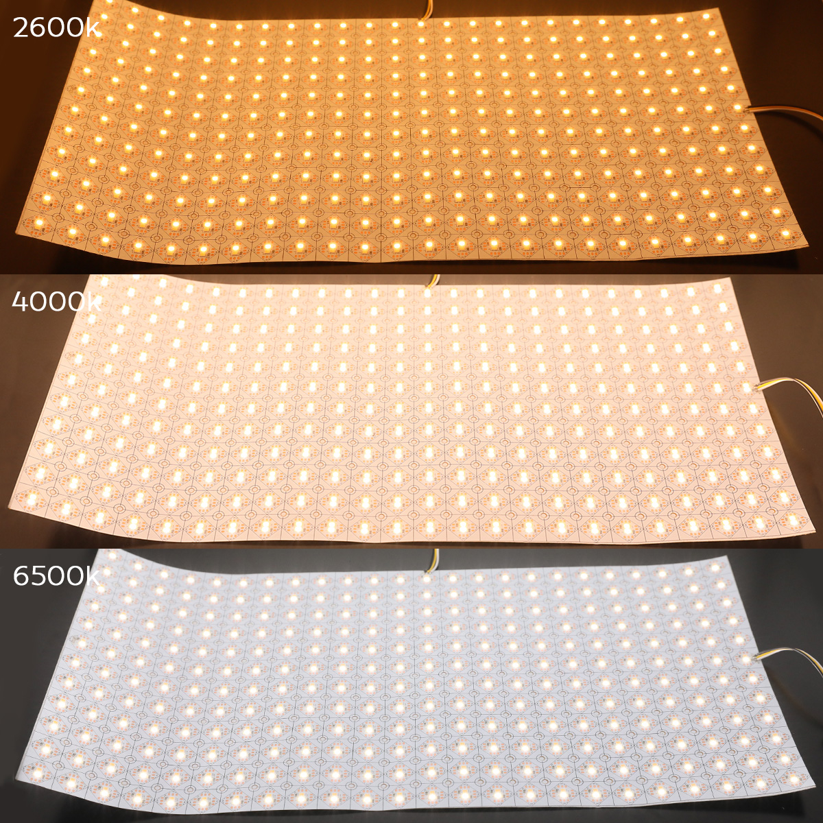 24V 2835 Tunable White Cuttable Flexibilní LED Light Sheet 24X12 24V 2835 Tunable White Cuttable Flexibilní LED Light Sheet 24X12