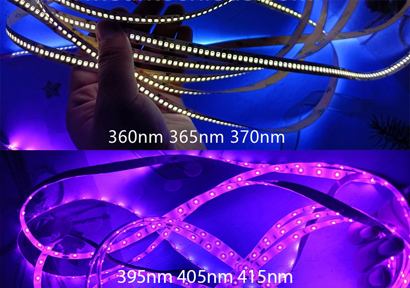 365nm-VS-395nm-LED-strip