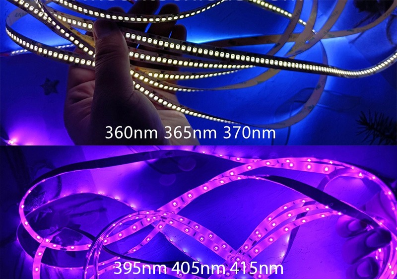 365nm-VS-395nm-LED-pásek