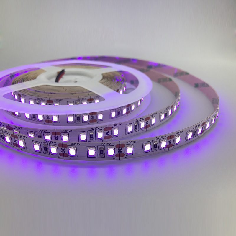 395nm 365nm UV světla 2835 LED Blacklights Strip 12V 395nm 365nm UV světla 2835 LED Blacklights Strip 12V