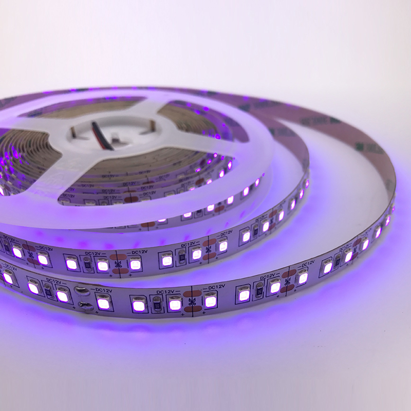 395nm 365nm UV světla 2835 LED Blacklights Strip 12V 395nm 365nm UV světla 2835 LED Blacklights Strip 12V