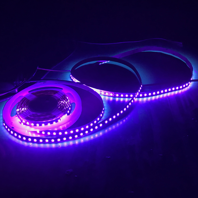 395nm 365nm UV světla 2835 LED Blacklights Strip 12V 395nm 365nm UV světla 2835 LED Blacklights Strip 12V