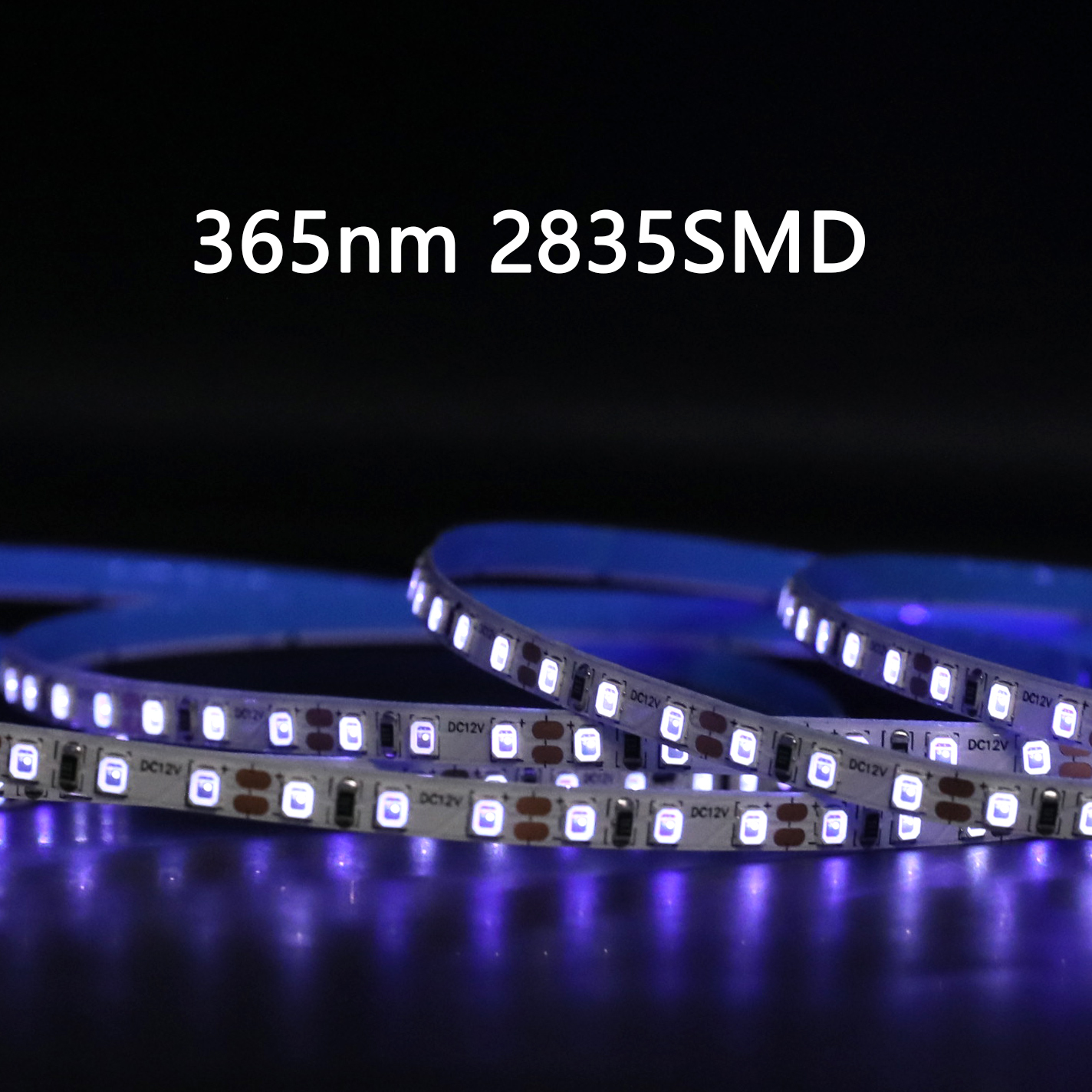 5mm široký 365nm 395nm UV světla 2835 LED pásek 5mm široký 365nm 395nm UV světla 2835 LED pásek