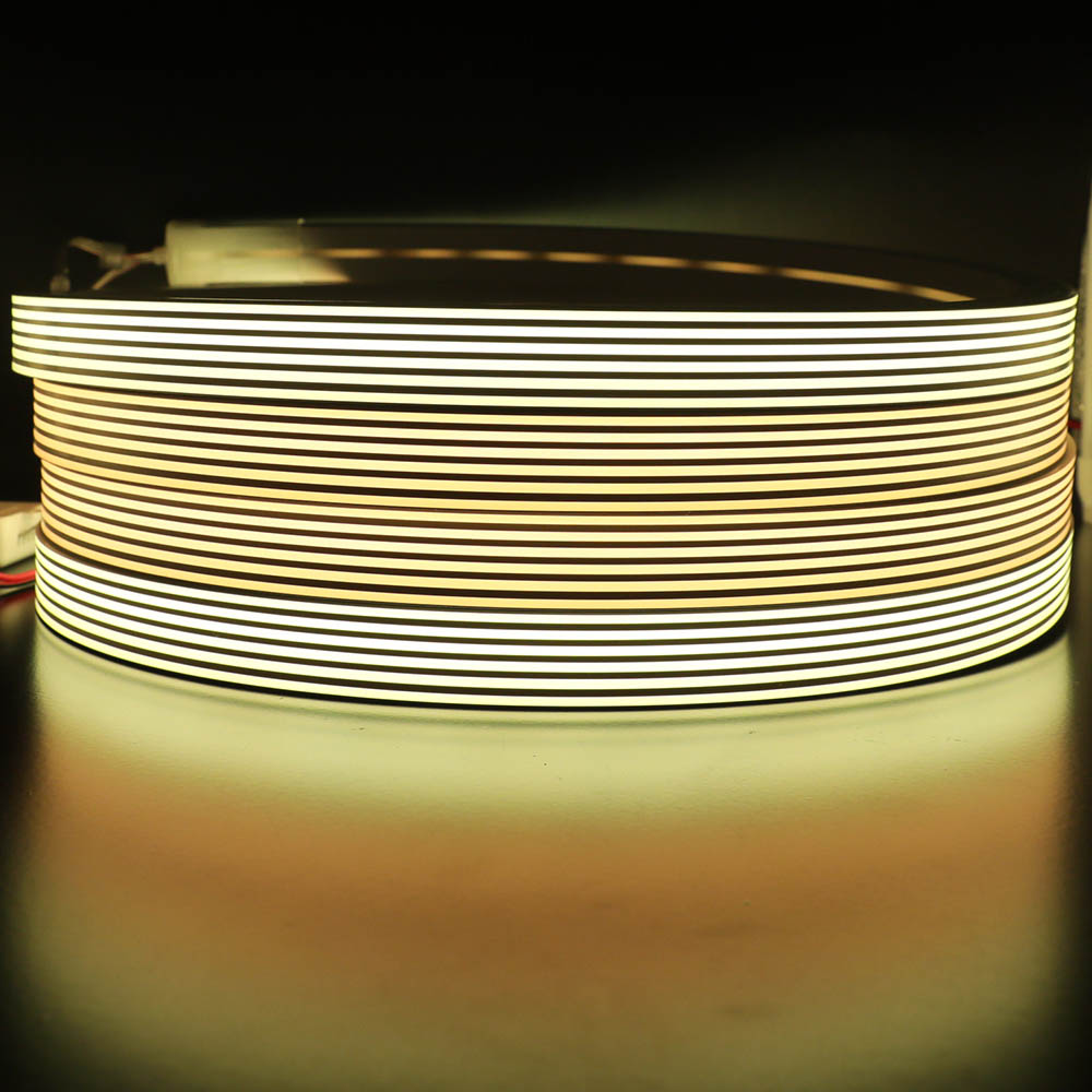 DC12/24V Vícenásobná změna barev a sledování Volitelné 30*20mm pruhy vodotěsné flexibilní silikonové neonové LED světlo DC12/24V Vícenásobná změna barev a sledování Volitelné 30*20mm pruhy vodotěsné flexibilní silikonové neonové LED světlo