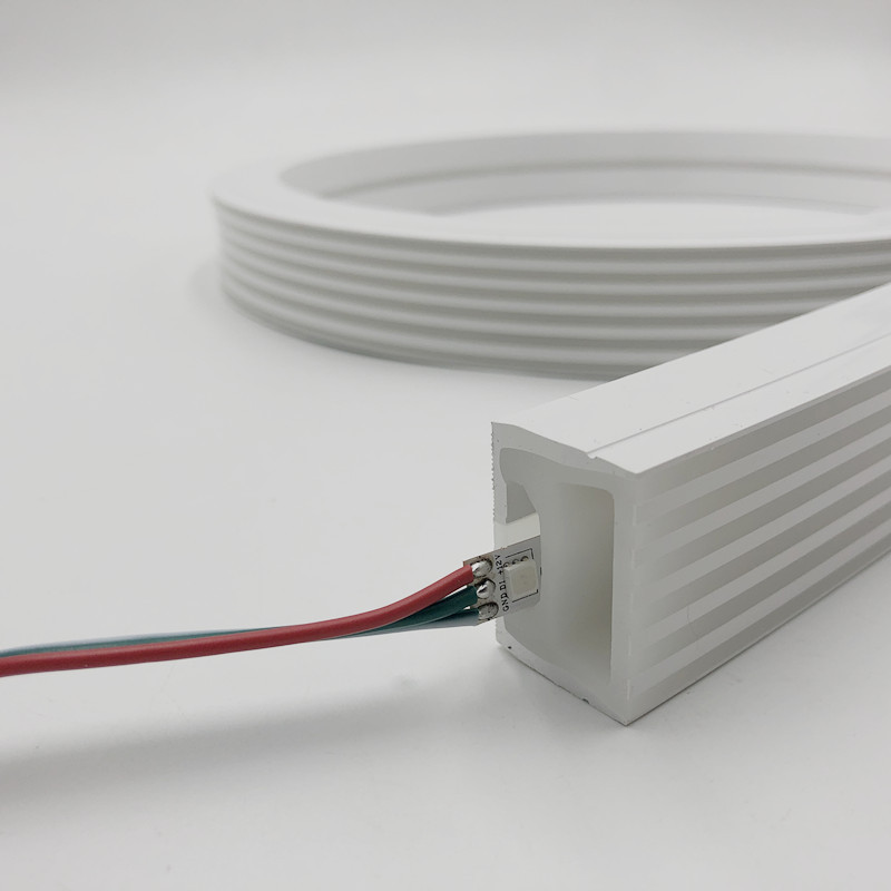 DC12/24V Vícenásobná změna barev a sledování Volitelné 30*20mm pruhy vodotěsné flexibilní silikonové neonové LED světlo DC12/24V Vícenásobná změna barev a sledování Volitelné 30*20mm pruhy vodotěsné flexibilní silikonové neonové LED světlo