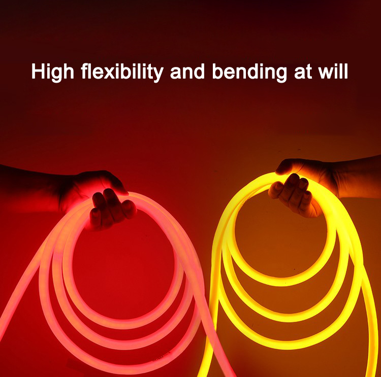 Neon LED Rope Light String Lamp Tube Waterproof 12V Flexible Outdoor  MultiColor - Smart Light Max