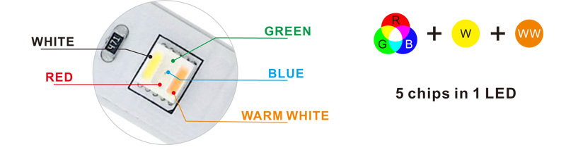 5in1 RGBWW-LED-Streifen