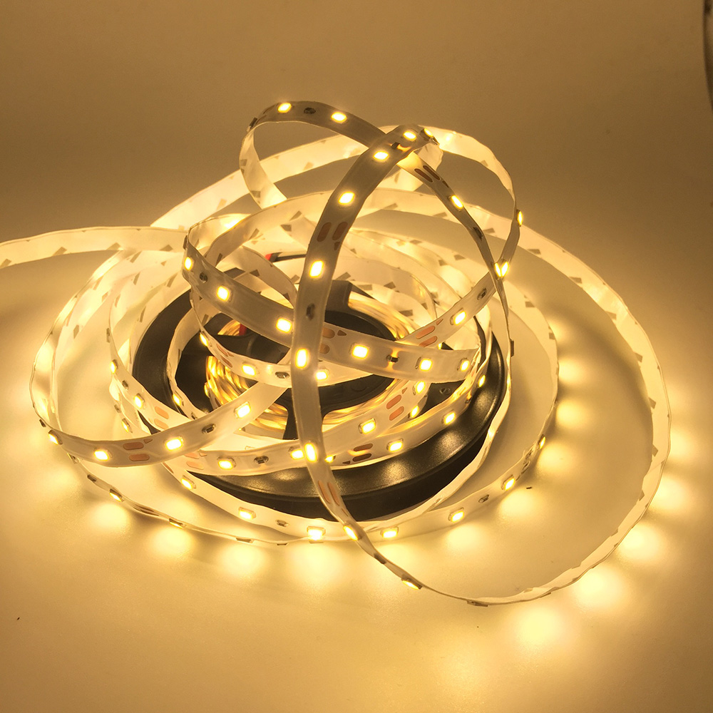 Einreihige Serie DC12/24V 2835SMD 300LEDs Flexible LED-Streifenlichter Innenbeleuchtung 16.4 Fuß pro Rolle im Angebot Einreihige Serie DC12/24V 2835SMD 300LEDs Flexible LED-Streifenlichter Innenbeleuchtung 16.4 Fuß pro Rolle im Angebot