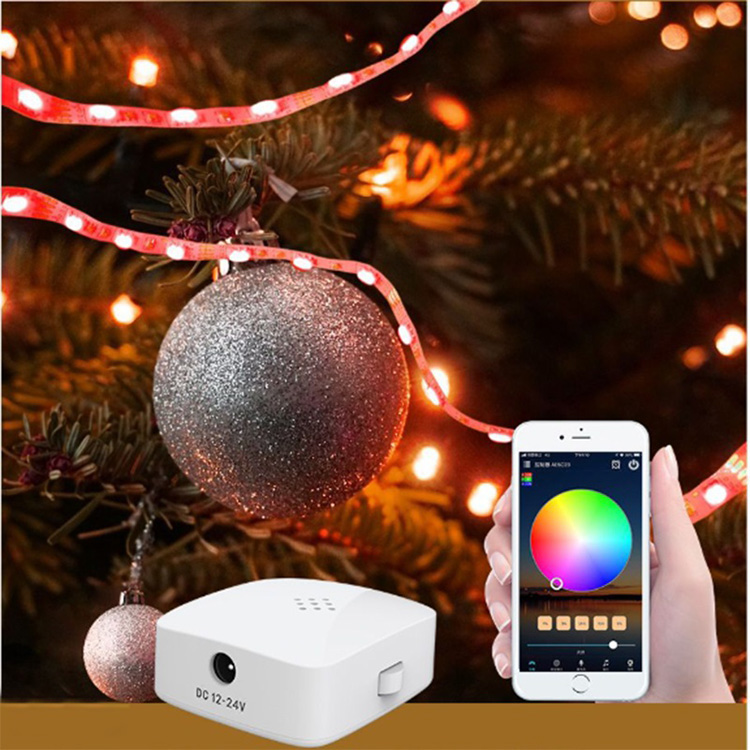 DC5-24V dvoukanálový RGB WiFi LED ovladač pro flexibilní LED páskové světlo, práce s Alexou a Google Assistant DC5-24V dvoukanálový RGB WiFi LED ovladač pro flexibilní LED páskové světlo, práce s Alexou a Google Assistant