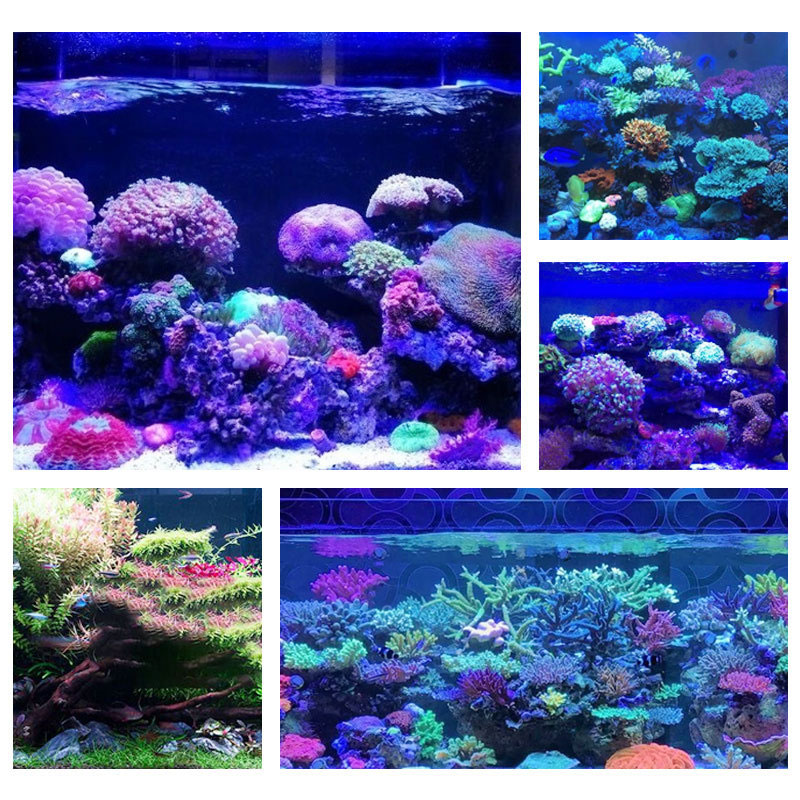 Computerprogrammierbarer 8-Kanal-Aquarium-Licht-Timer-Controller Computerprogrammierbarer 8-Kanal-Aquarium-Licht-Timer-Controller