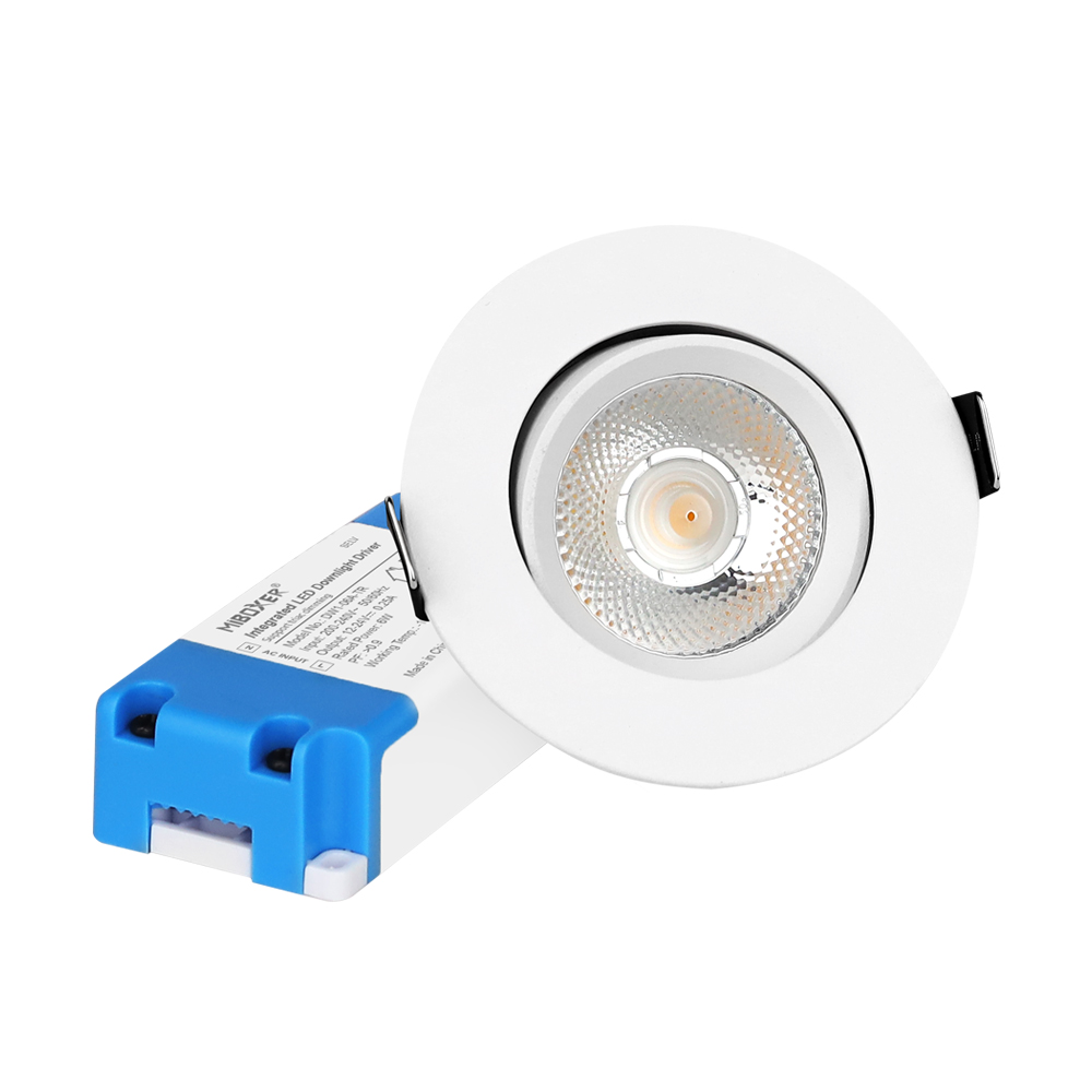 6W LED Downlight (Triac Dimming) DW1-06A-TR