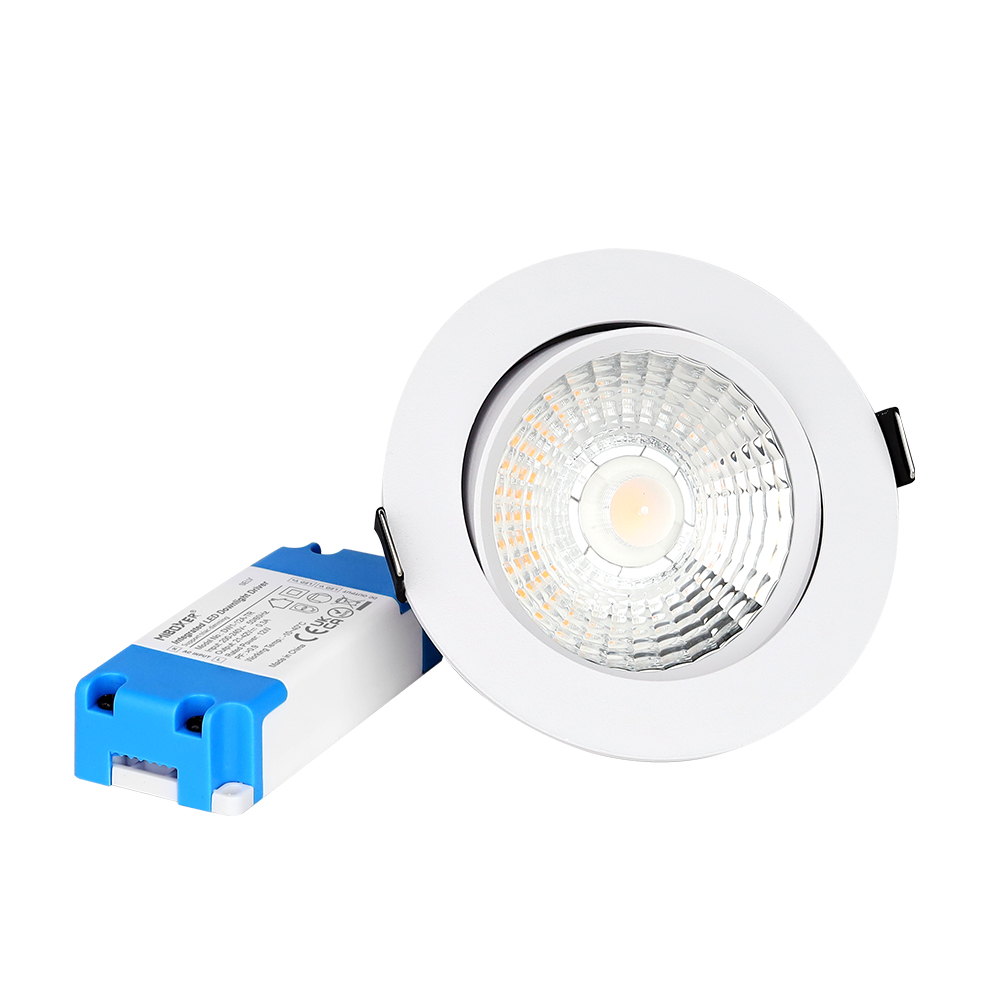 12W LED Downlight (Triac Dimming) DW1-12A-TR