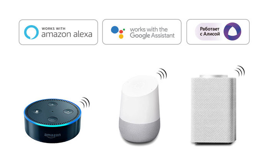 WL-SW1 WiFi+2.4G Push Smart Alexa Switch