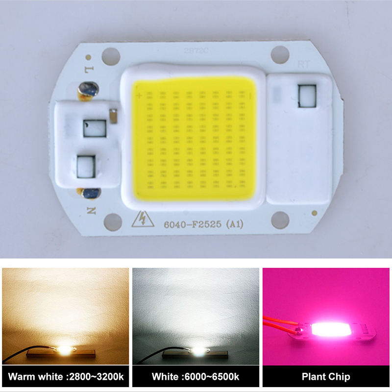 20/30/50W Waterproof IP67 COB LED 3000K/6000K Chip With Lens 110V/220V