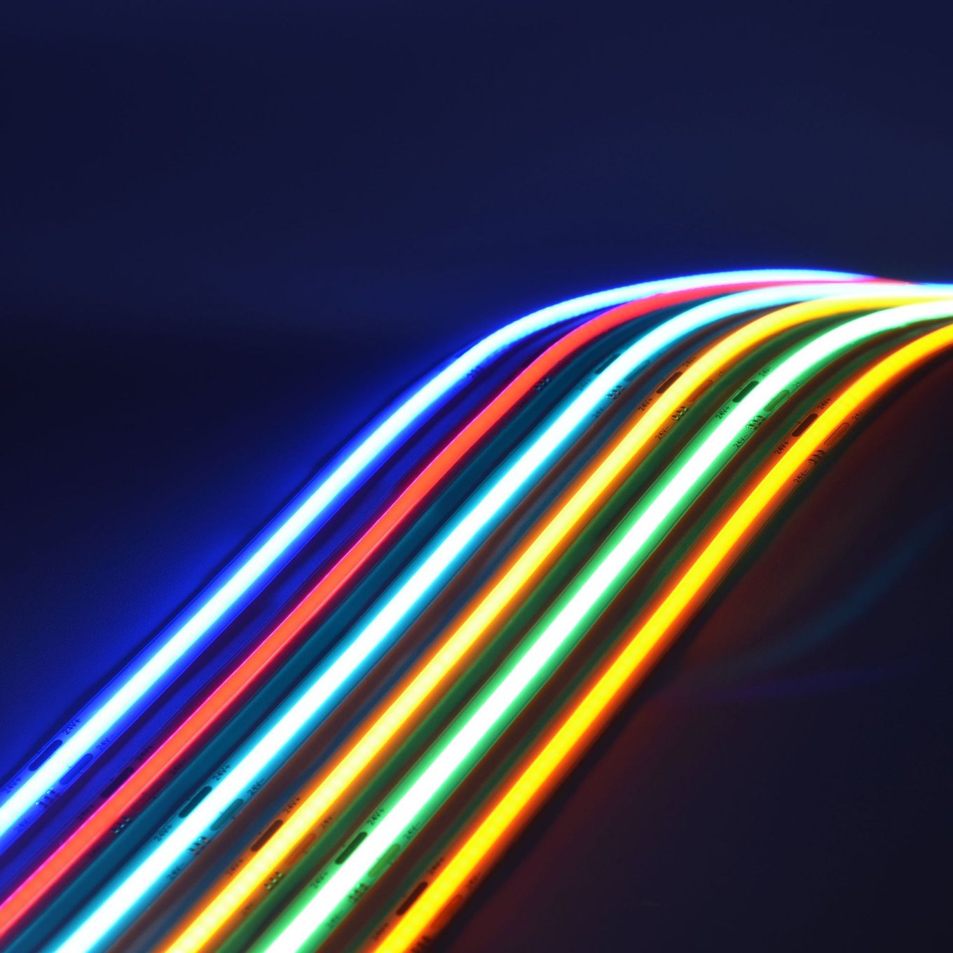 COB LED strips in several colours showing continuous dot-free light