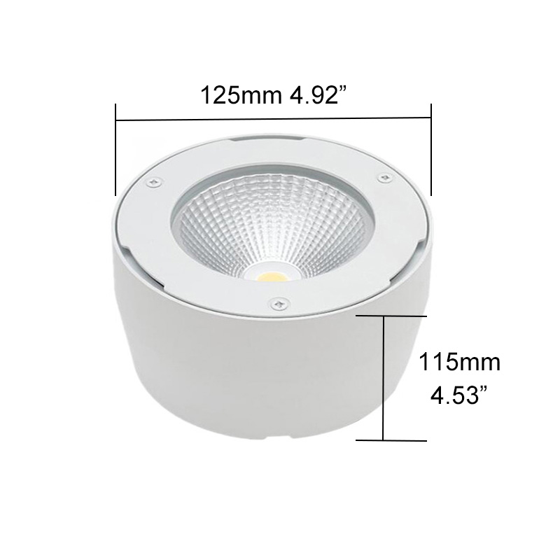 IP65 Surface Mounted LED Downlight Size