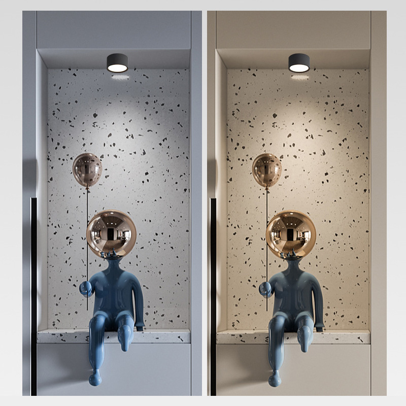 Home Ceiling Drum Light Fixture Flood LED Surface Mount Downlight