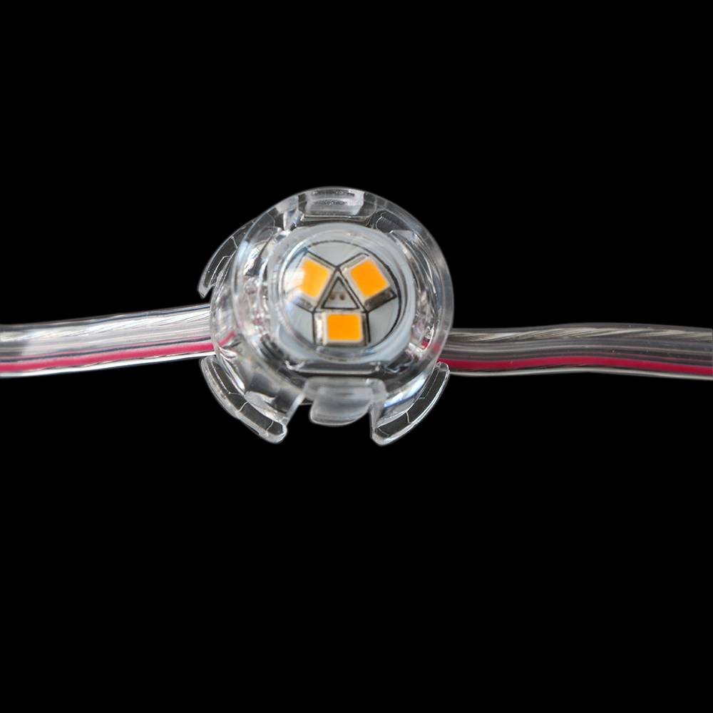 DC12V Durchmesser 2 cm 2835SMD Einfarbiges Pixelmodul für den Außenbereich, wasserdicht, IP67, Punktlicht, LED-Pixellicht