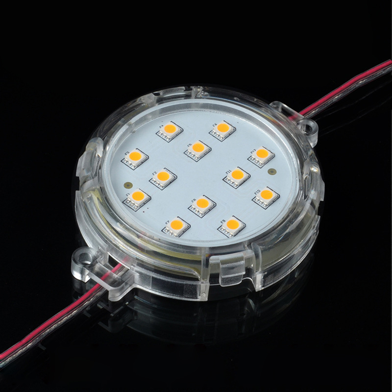 DC24V Durchmesser 8 cm 5050SMD Einfarbiges Pixelmodul für den Außenbereich, wasserdicht, IP67, Punktlicht, LED-Pixellicht – 10 Stück/Kette