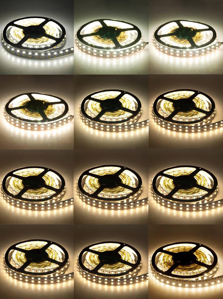 dvouřadá 5050 dvojitá bílá LED pásková světla