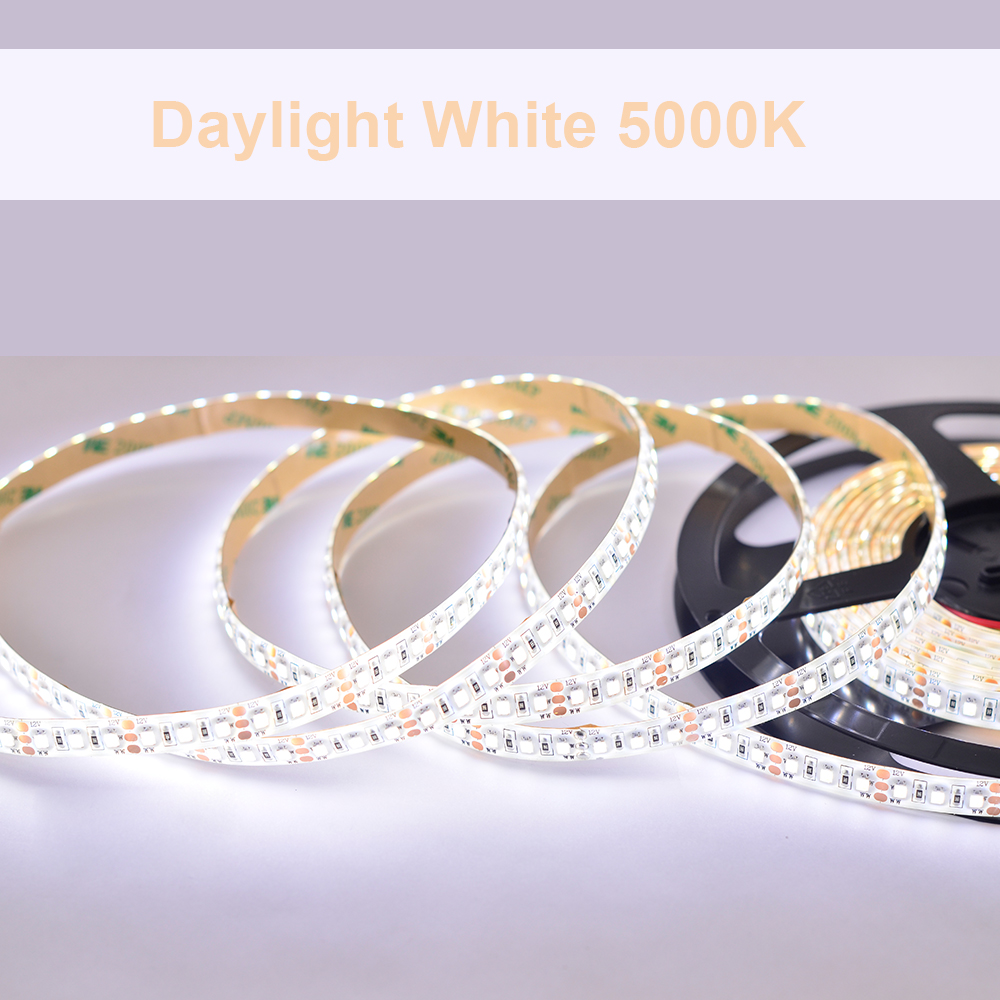 DC12V/24V 3528SMD 600LEDs 2in1 CCT Flexible LED Strip Light - Pure White+Warm White