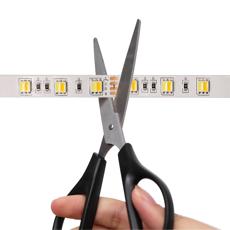 DC12V/24V 5050SMD 300LED 2v1 Flexibilní LED světelný pás – čistě bílá + teplá bílá DC12V/24V 5050SMD 300LED 2v1 Flexibilní LED světelný pás – čistě bílá + teplá bílá