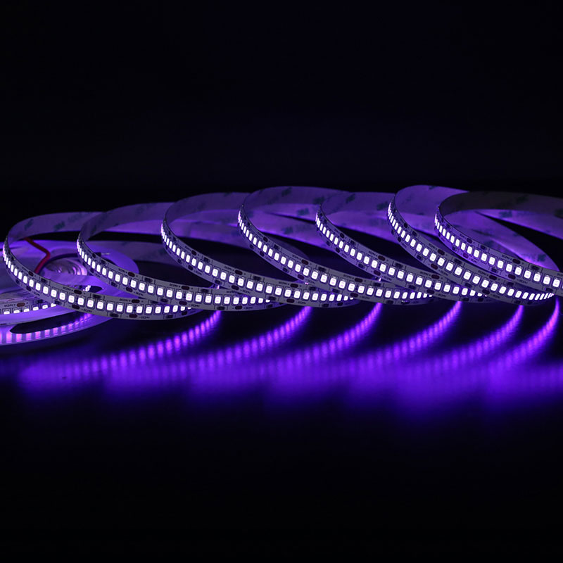 DC24V SMD2835 LED 395nm-405nm 365nm UV světelný pás 240LEDs/m 16.4ft DC24V SMD2835 LED 395nm-405nm 365nm UV světelný pás 240LEDs/m 16.4ft