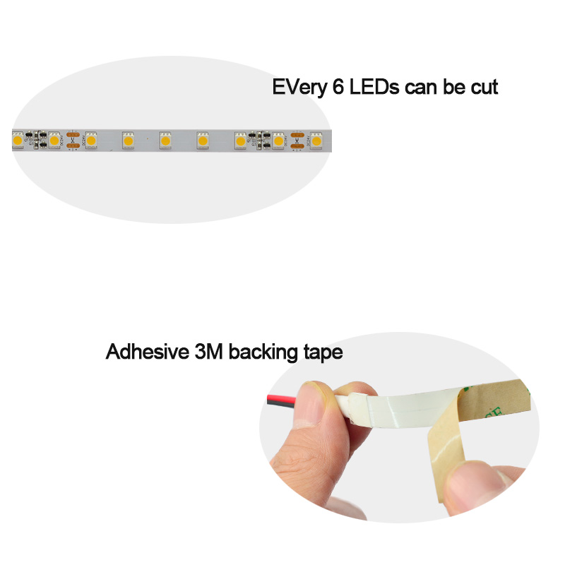 DC24V 5050SMD Constant Current White Tape Light - 293 - 32.8 to 65.6Ft Optional [FSLCC-10M-5050X60] - $59.98 :