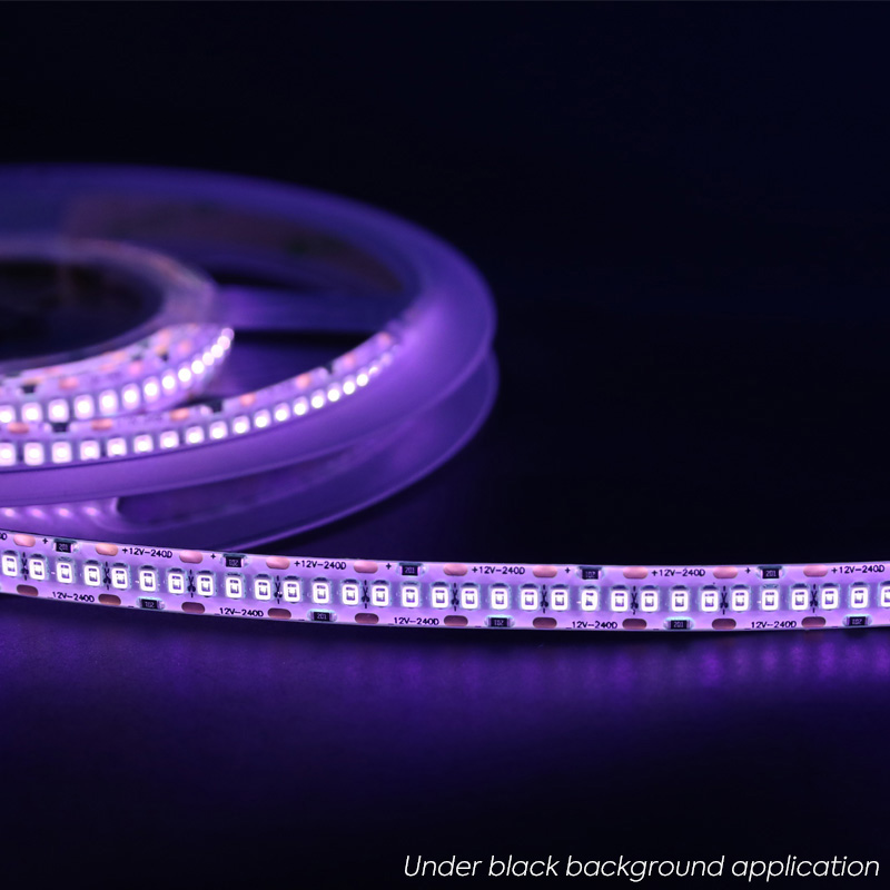 365nm 12 Volt 2835 UV LED Strip High Density 240 LEDs Per Meter 365nm 12 Volt 2835 UV LED Strip High Density 240 LEDs Per Meter