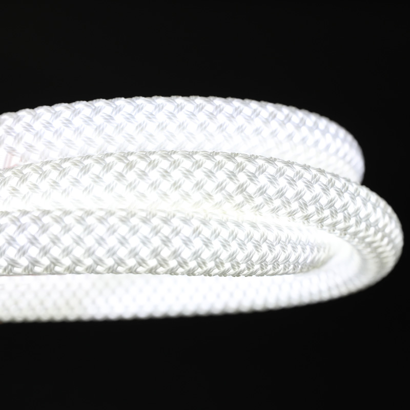 Solid Color Braided Mesh Neon LED Strip 360 Glow 12V 24V Rope Light