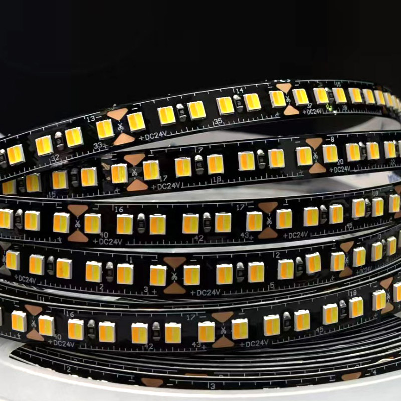 Long 2 Pin Bi Color LED SMD2835 CCT Changing 8mm Black Board Tape Light 10M