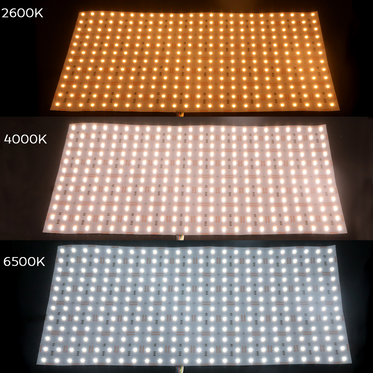 24V 5v1 5050 RGBCCT Flexibilní LED list měnící barvu 24X12 24V 5v1 5050 RGBCCT Flexibilní LED list měnící barvu 24X12