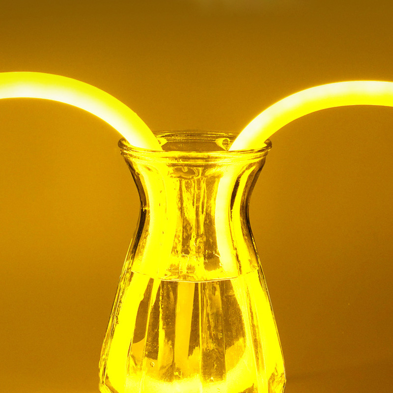 30mm kruhové 360 neonové LED ohebné páskové světlo Neonová ohebná trubice 30mm kruhové 360 neonové LED ohebné páskové světlo Neonová ohebná trubice