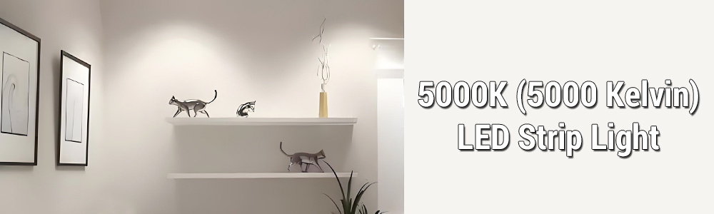 SuperLightingLED™ 5000K LED Strip Light Solutions