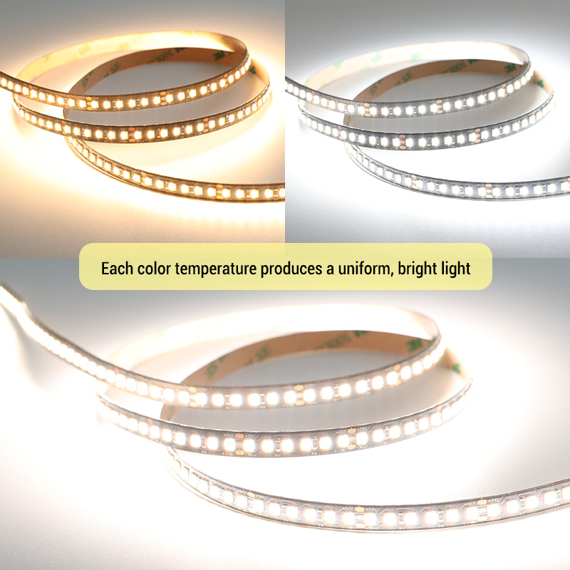 CRI97 CCT Dual White LED Strip Black Backlighting