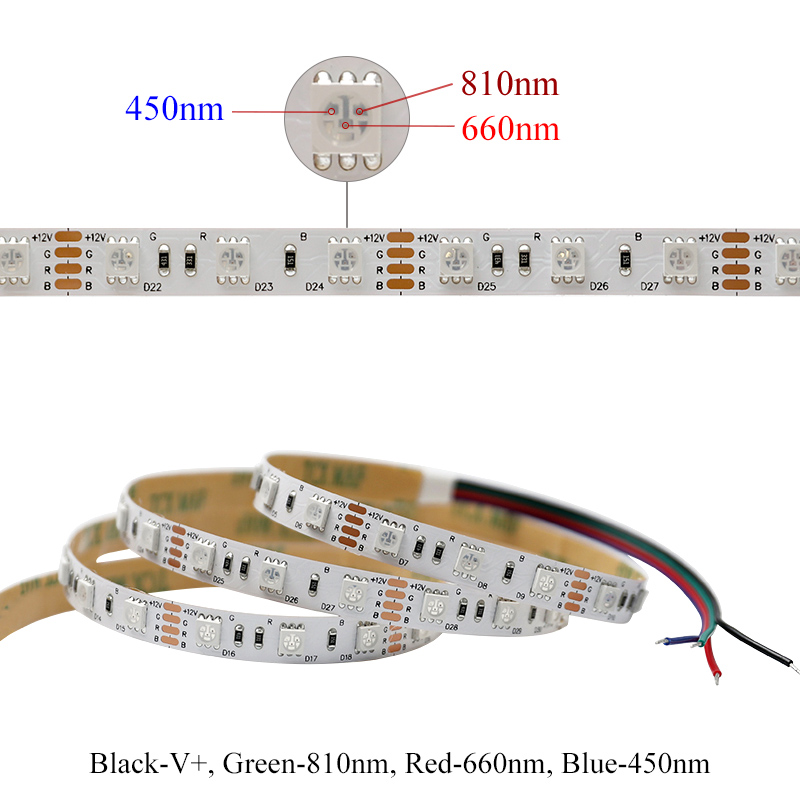 660 nm Rot + 810 nm IR + 450 nm Blau 3-in-1-LED-Streifen mit mehreren Wellenlängen 660 nm Rot + 810 nm IR + 450 nm Blau 3-in-1-LED-Streifen mit mehreren Wellenlängen