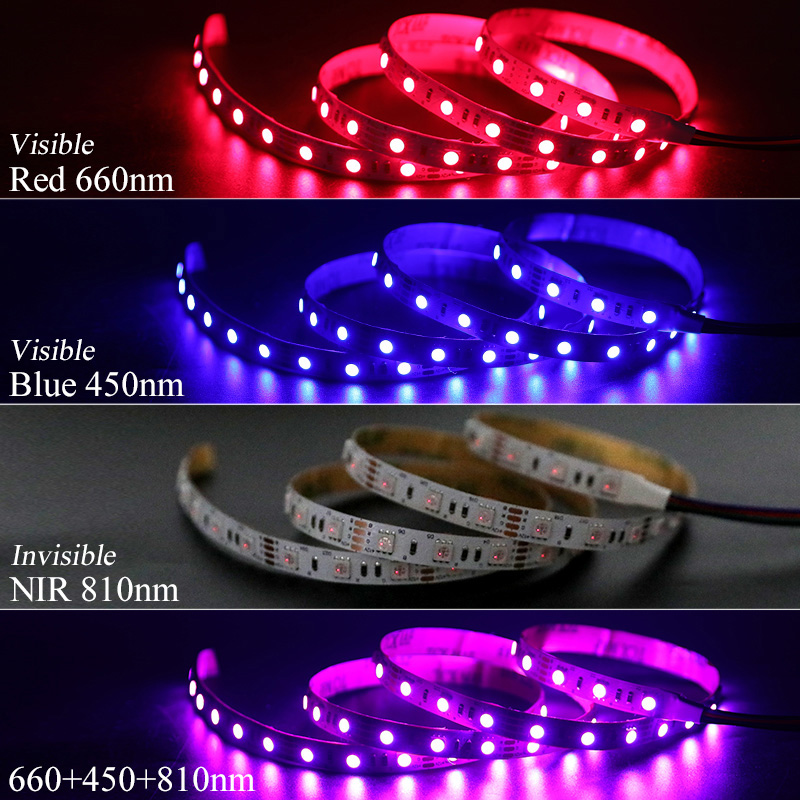 660 nm Rot + 810 nm IR + 450 nm Blau 3-in-1-LED-Streifen mit mehreren Wellenlängen 660 nm Rot + 810 nm IR + 450 nm Blau 3-in-1-LED-Streifen mit mehreren Wellenlängen